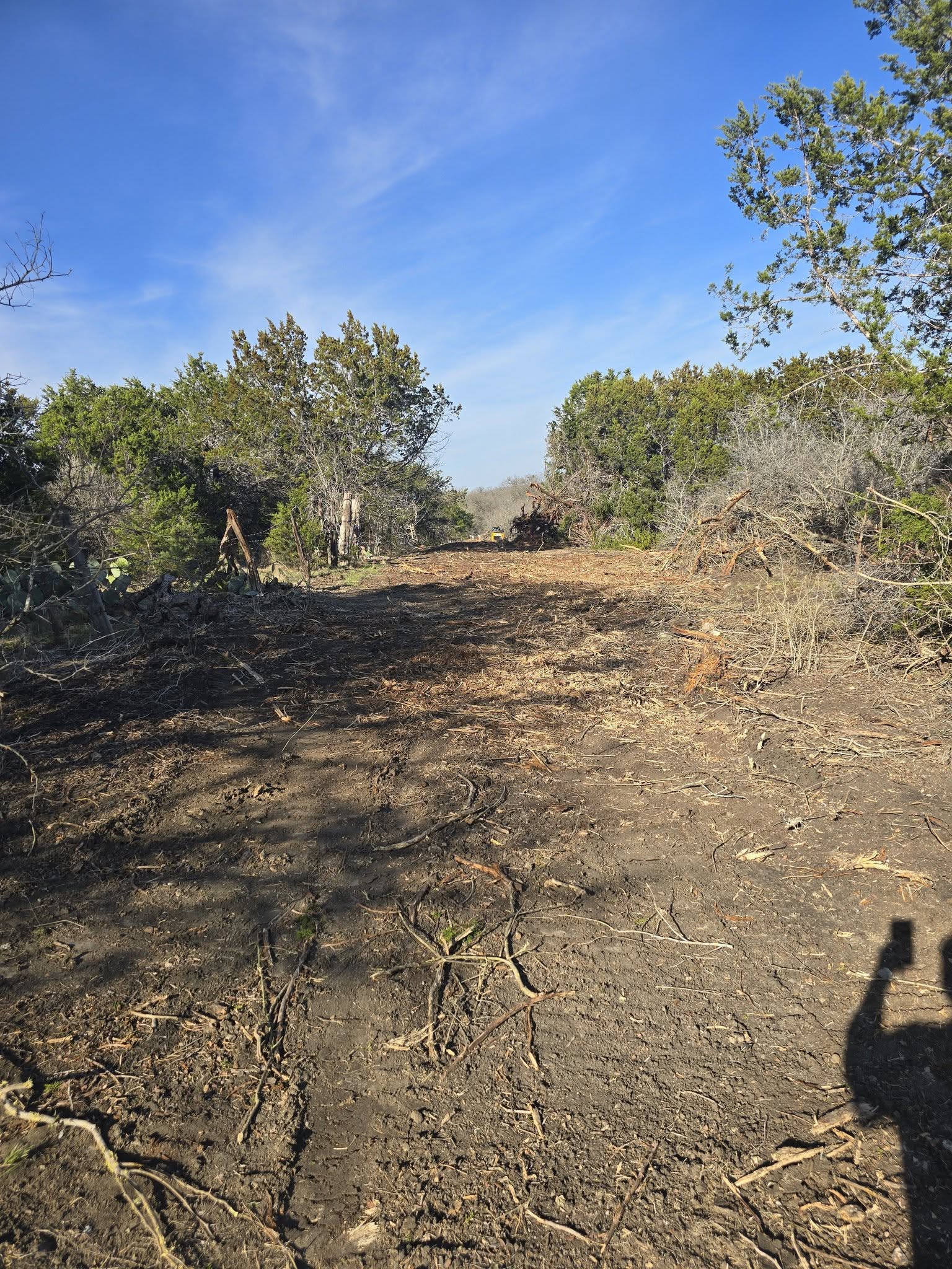 Wooded lot after forestry mulching
