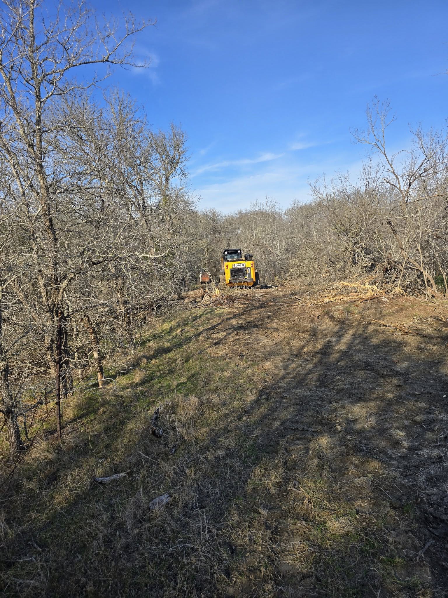 Same lot wooded, before forestry mulching