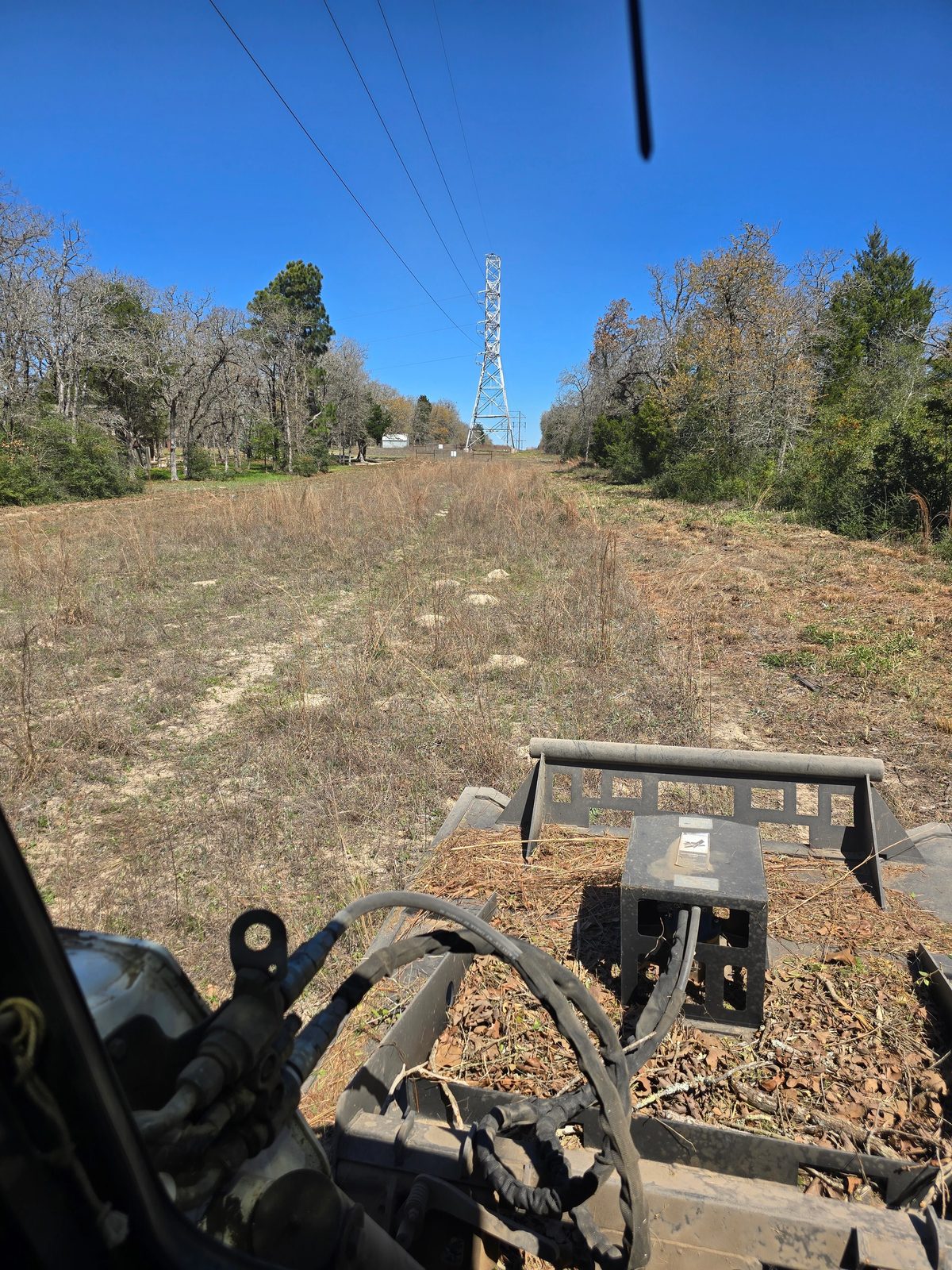 Mulched trail through the trees