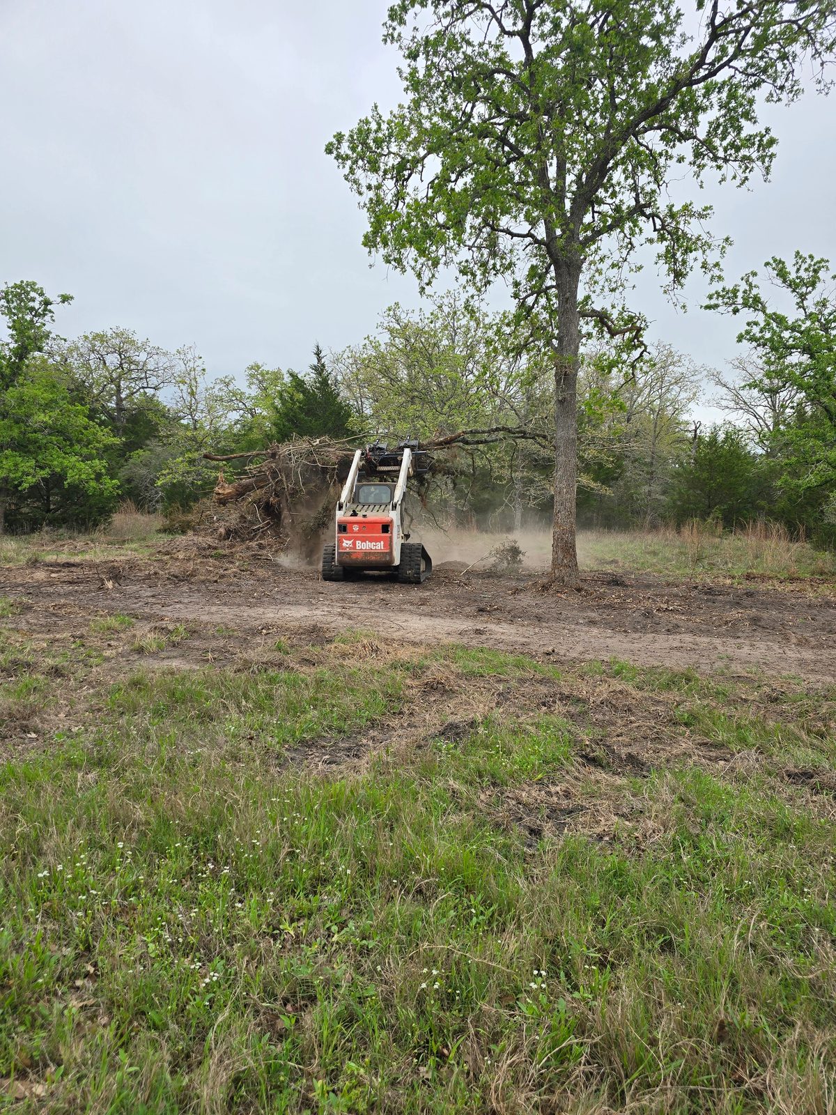 Mulcher clearing underbrush