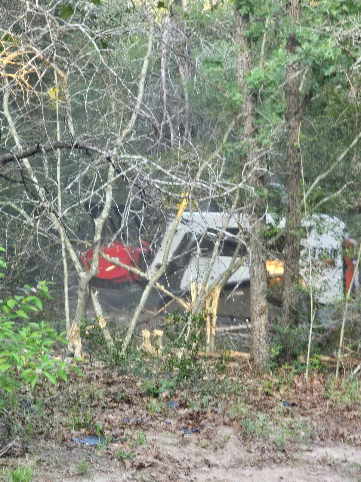 Clearing brush along a tree line